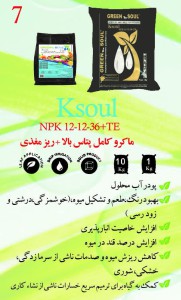 ماکرو کامل فسفر بالا+ ریز مغذی