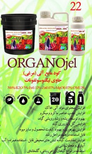 کود مایع آلی (مرغی)GREEN SOUL بیست لیتری